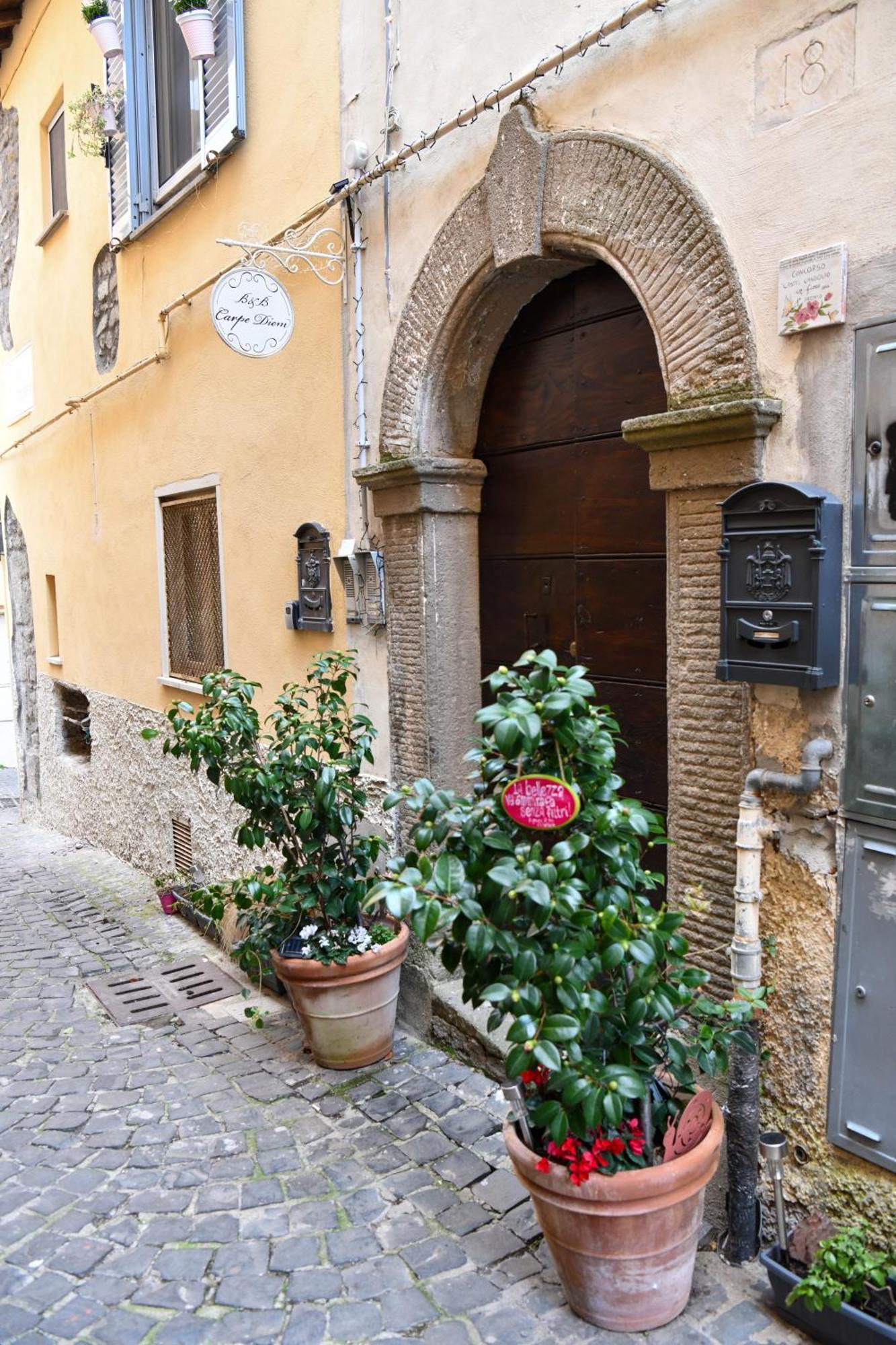 B&B Carpe Diem Vista Lago Castel Gandolfo Exterior foto